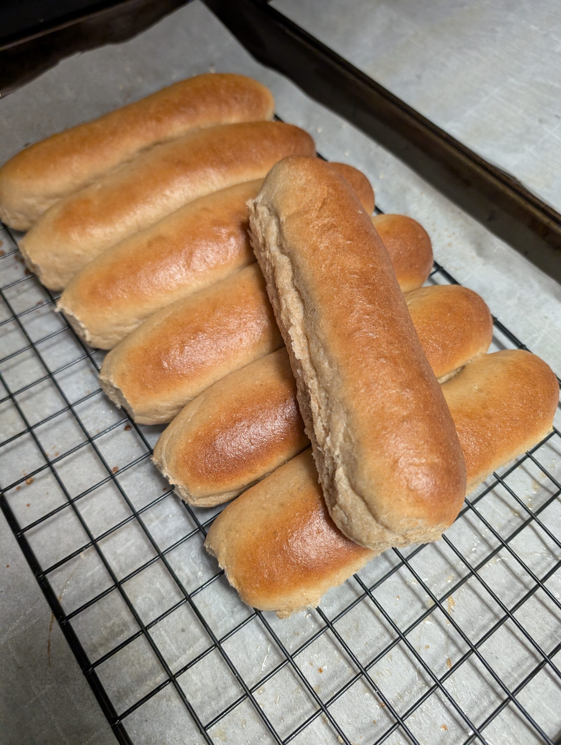 brioche hot dog buns with freshly milled flour