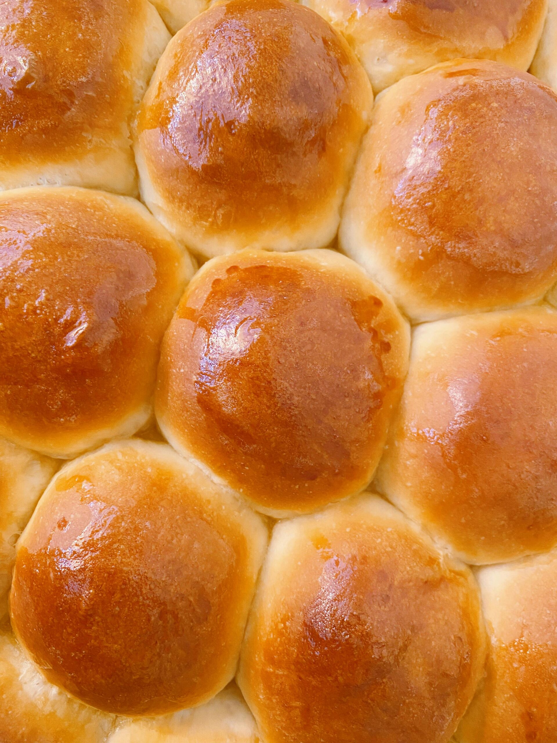dinner rolls with freshly milled flour recipe