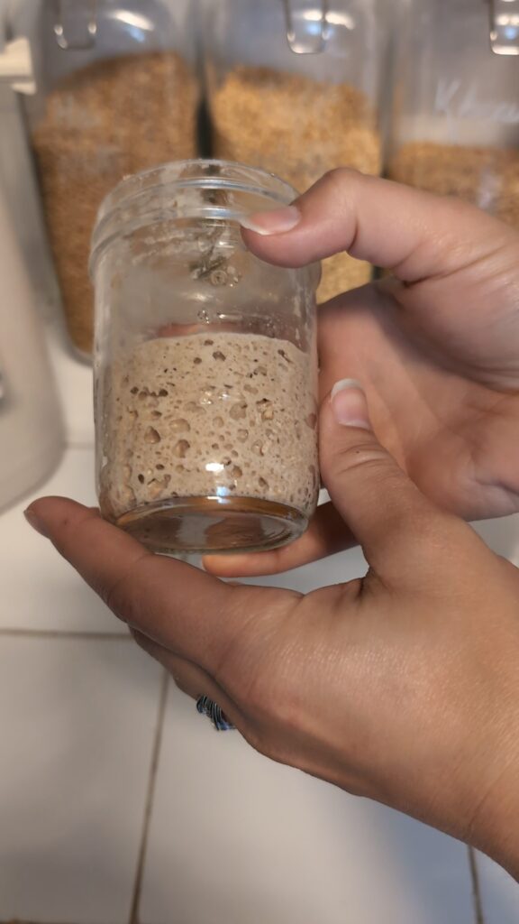 Sourdough starter with freshly milled flour for a sourdough rustic loaf