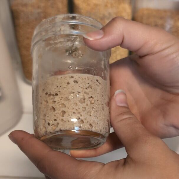 Sourdough starter with freshly milled flour for a sourdough rustic loaf