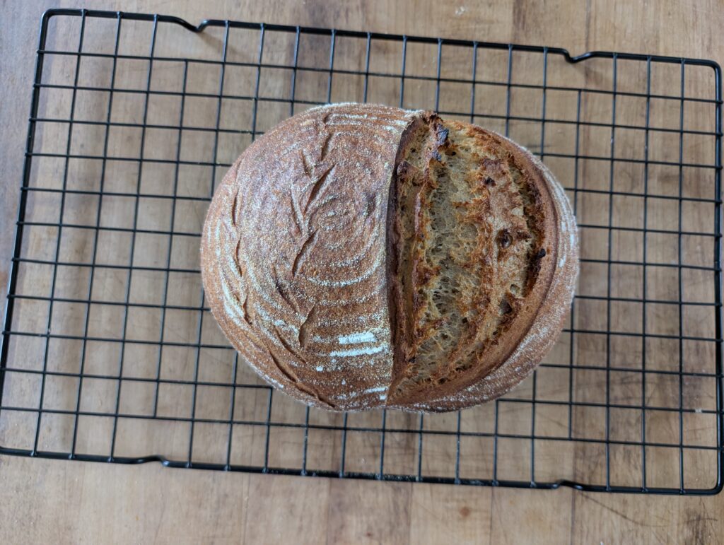 freshly milled sourdough loaf made with freshly milled starter