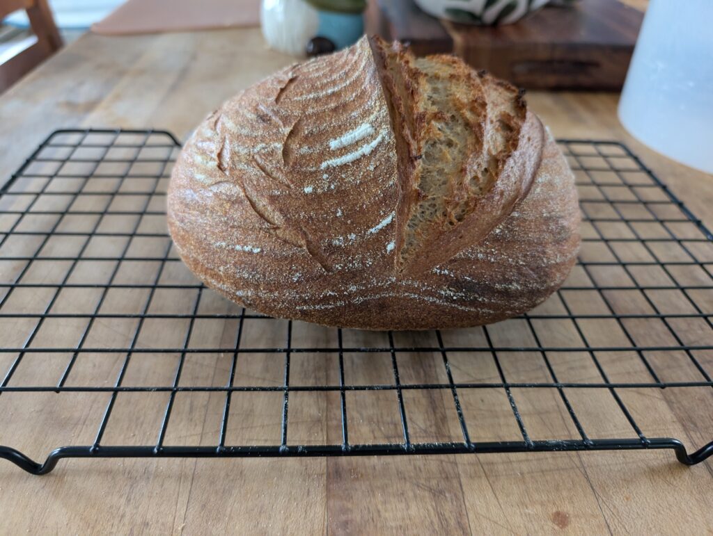 freshly milled sourdough loaf made with freshly milled starter