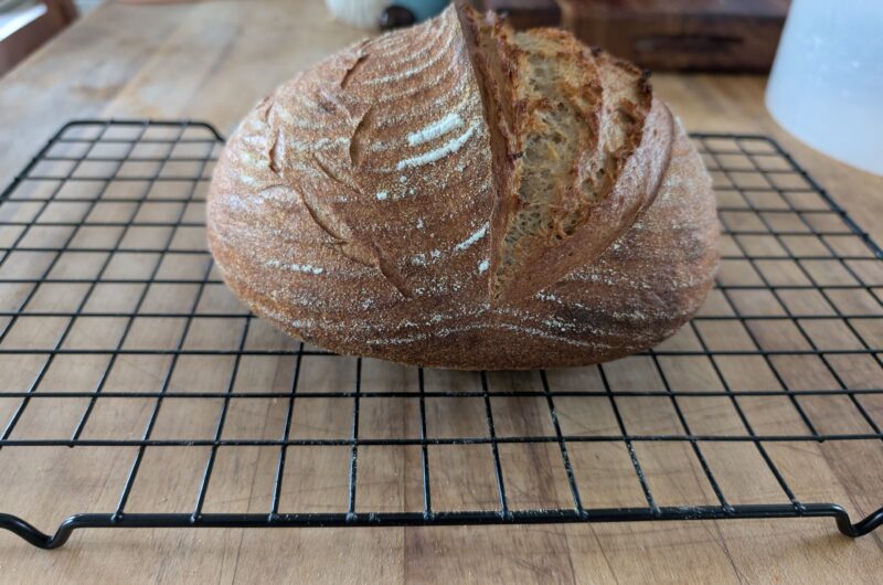 Easy Sourdough Rustic Loaf with Freshly Milled Flour