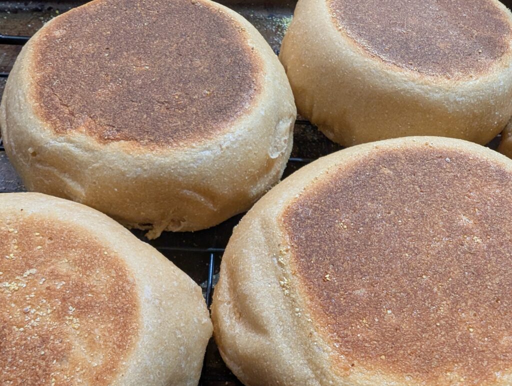 Freshly Milled English Muffins